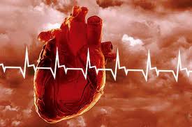 сердце, сердечно-сосудистые заболевания