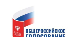 голосование Конституция