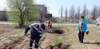 высадка саженцев в патриотическом парке