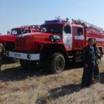 Пожар лес-03
