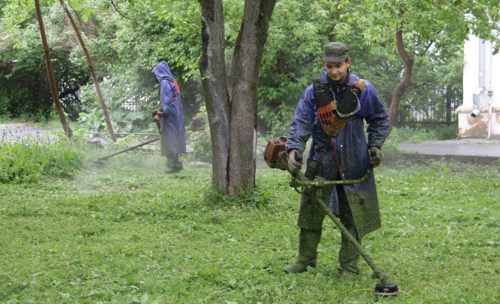 Мужик косит траву. Лесу дворе колет. Покос травы триммером. Человек косит траву. Покос травы косой.
